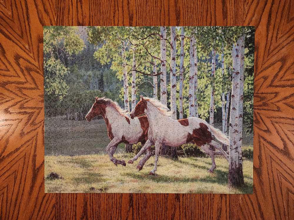 ZZ - Aspen Run (TRADED) - White Mountain Puzzles puzzle collectible [Barcode 724819257584] - Main Image 2