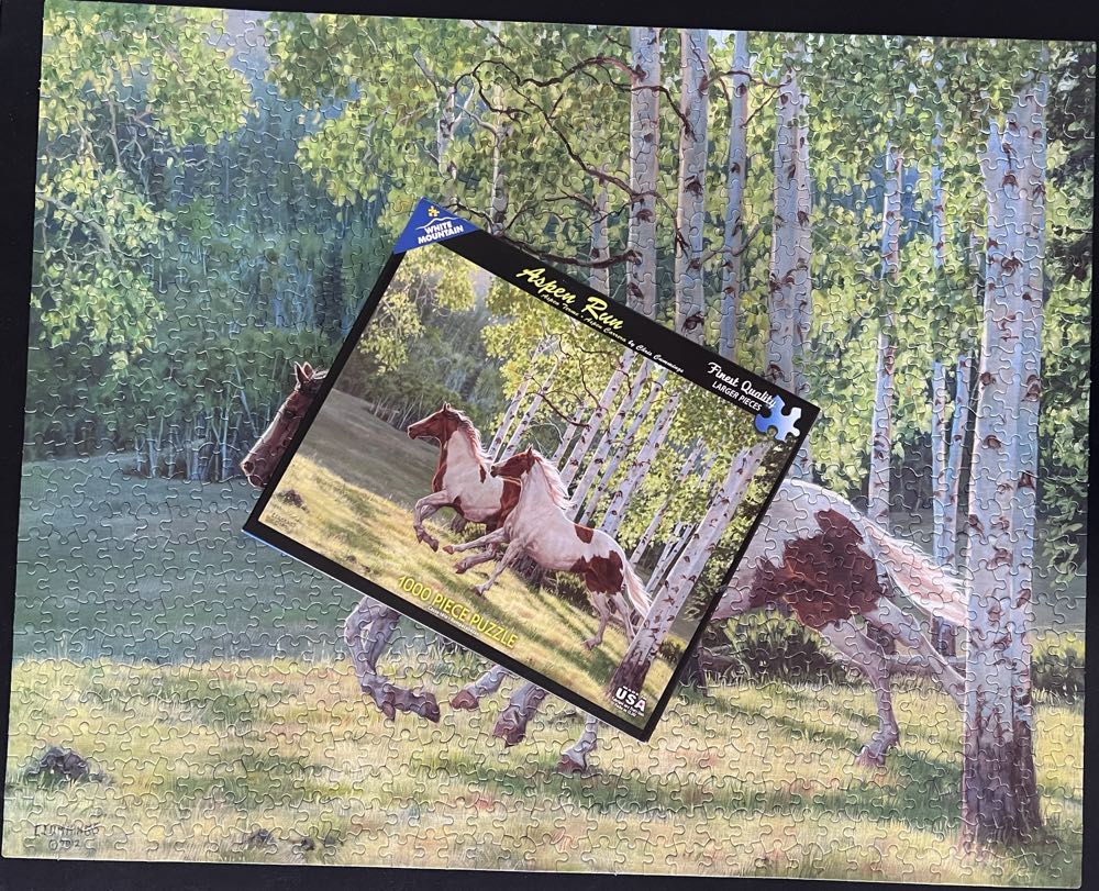 ZZ - Aspen Run (TRADED) - White Mountain Puzzles puzzle collectible [Barcode 724819257584] - Main Image 4