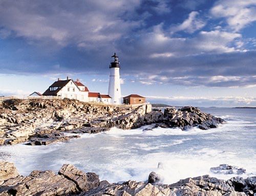 Chaos At The Aquarium (V) 🧩