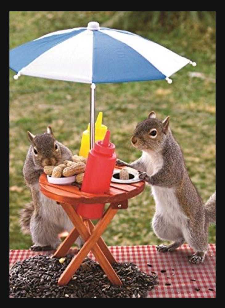 Squirrel Feeder - Springbok puzzle collectible [Barcode 091683305087] - Main Image 2