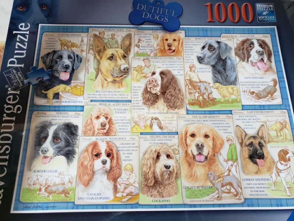 Thomas Kinkade - A Perfect Summer Day