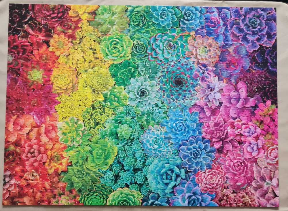 Succulent Rainbow - Buffalo Games puzzle collectible [Barcode 079346122103] - Main Image 2