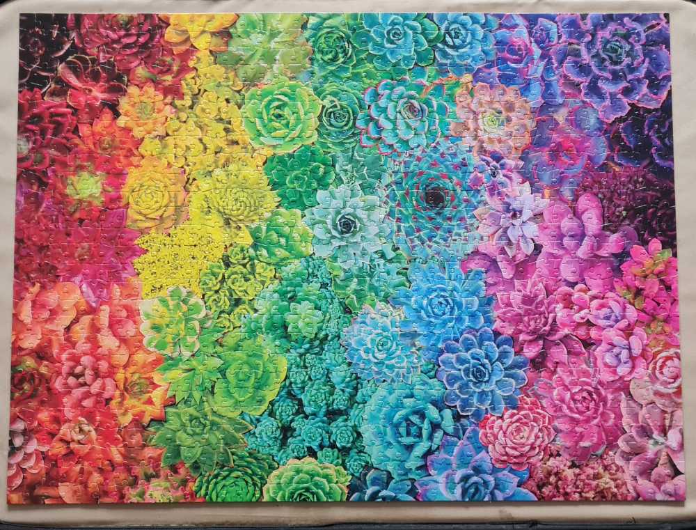 Succulent Rainbow - Buffalo Games puzzle collectible [Barcode 079346122103] - Main Image 4