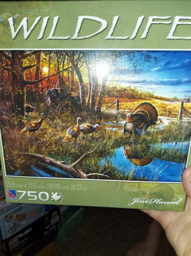 Greatest Jigsaw Puzzle Of All Time Second Episode 512 Piece Two Sided Gm553