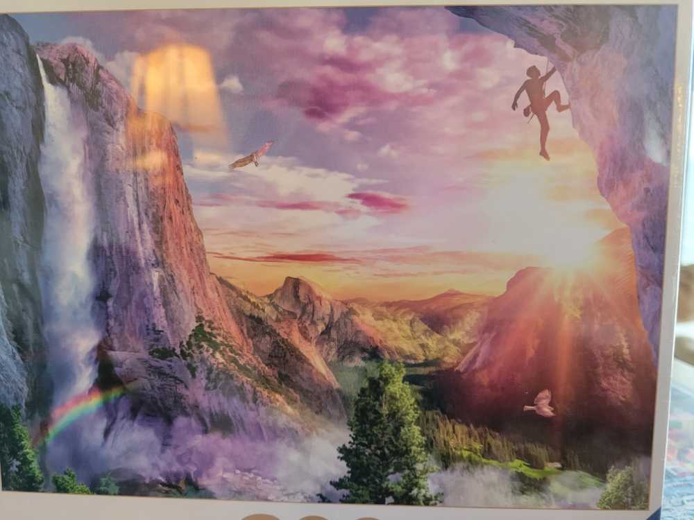 Jack Pine And Poplar