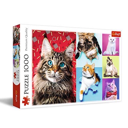 Harry Potter (8) And The Deathly Hallows Pt 2