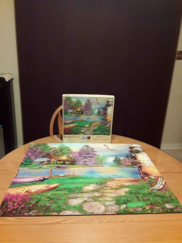 Seagull Bay- RICHIE  - SunsOut puzzle collectible [Barcode 796780665101] - Main Image 2