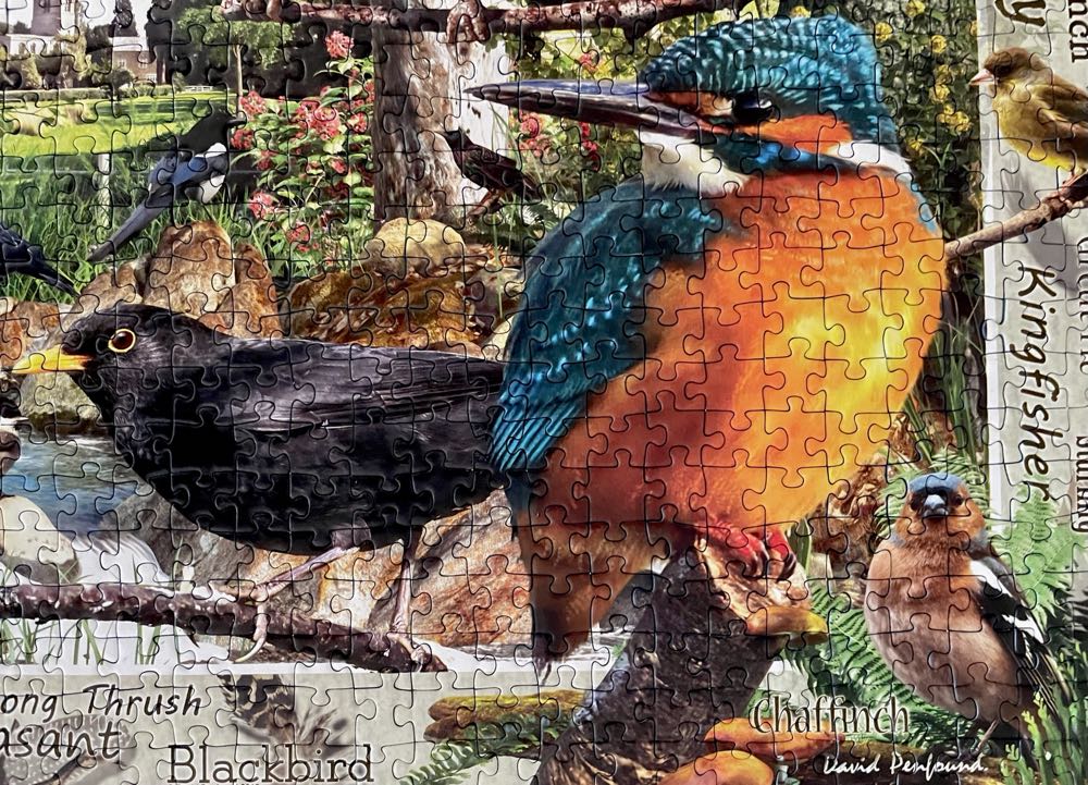 Our Feathered Friends - Ravensburger puzzle collectible [Barcode 4005556198382] - Main Image 4