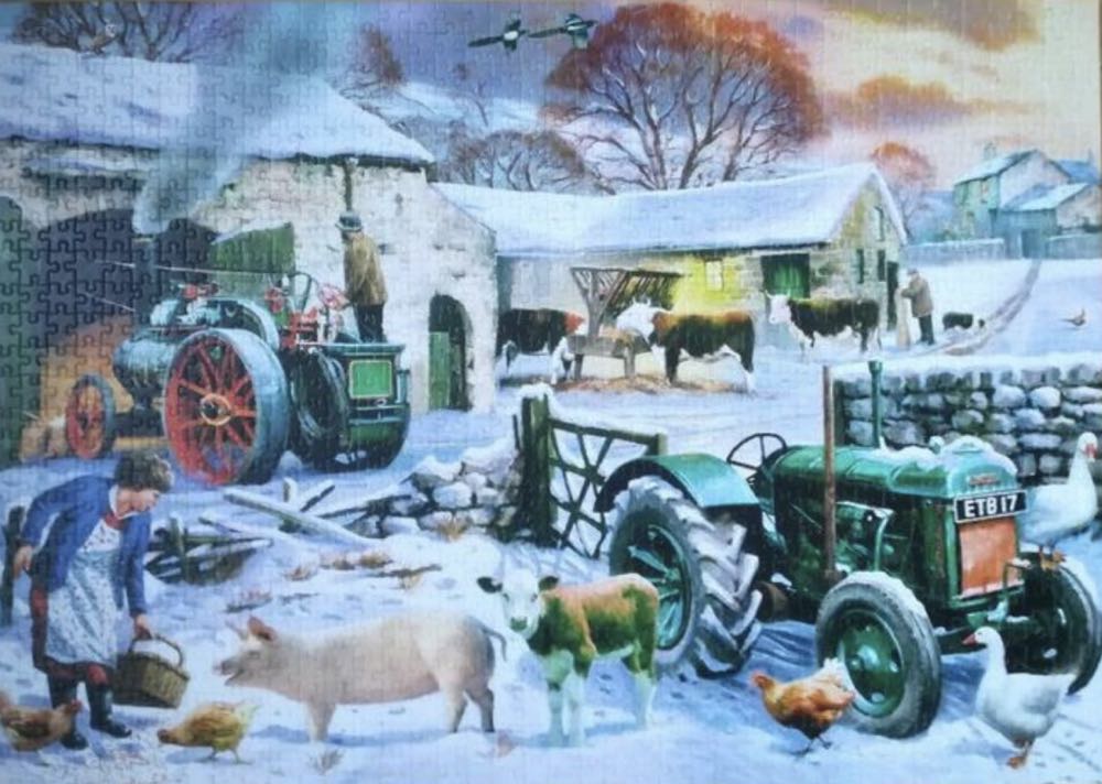 Seasons On The Farm 🐦 - Falcon de luxe puzzle collectible [Barcode 8710126111819] - Main Image 4