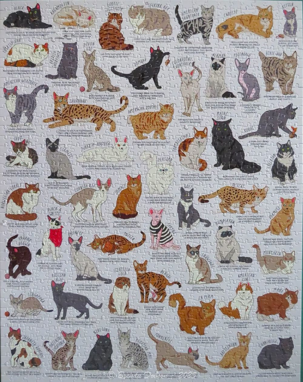 Cat Lovers - Ridley’s puzzle collectible [Barcode 5055923726860] - Main Image 2