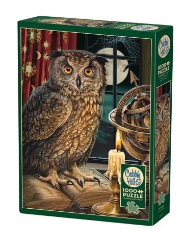 The Astrologer* - Cobble Hill puzzle collectible [Barcode 625012801980] - Main Image 1