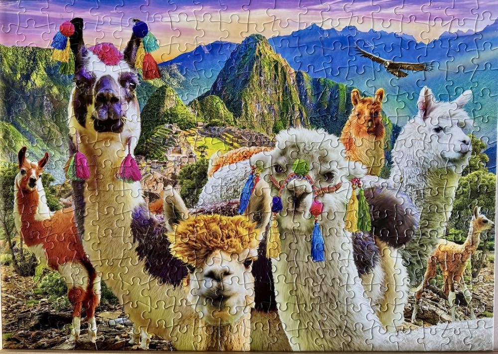 Ooh La Llama - Buffalo puzzle collectible [Barcode 079346025589] - Main Image 2