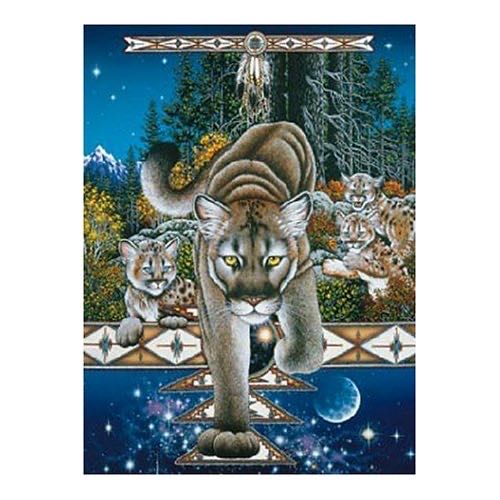 Bridges Of San Francisco