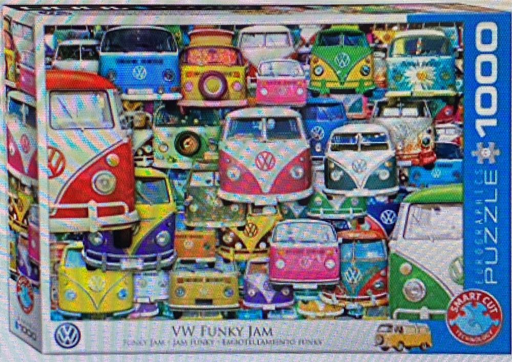 SunsO Cosmos And Hummingbirds