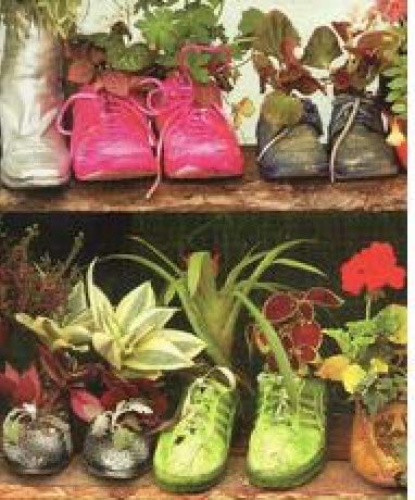 ZZ - Confessions Of A Desperate Housewife (SOLD)