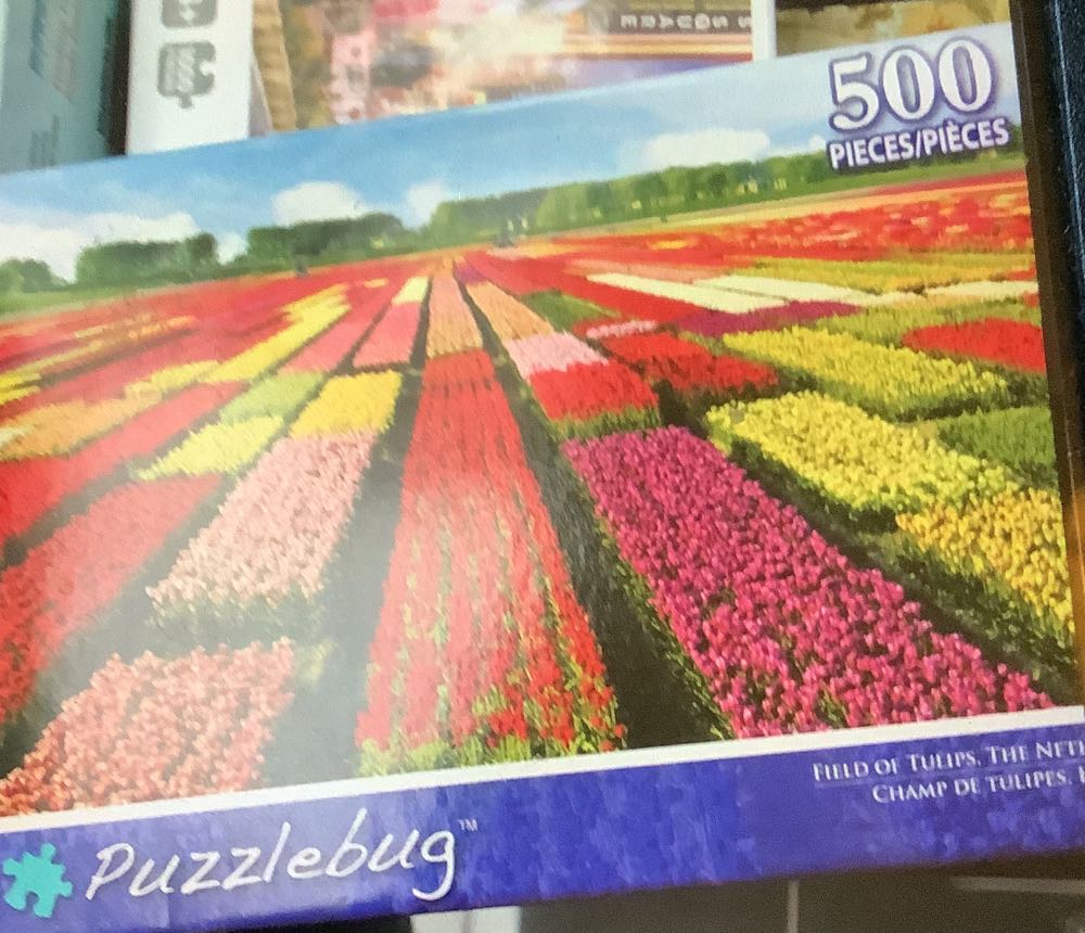 Wonders Of Notre Dame