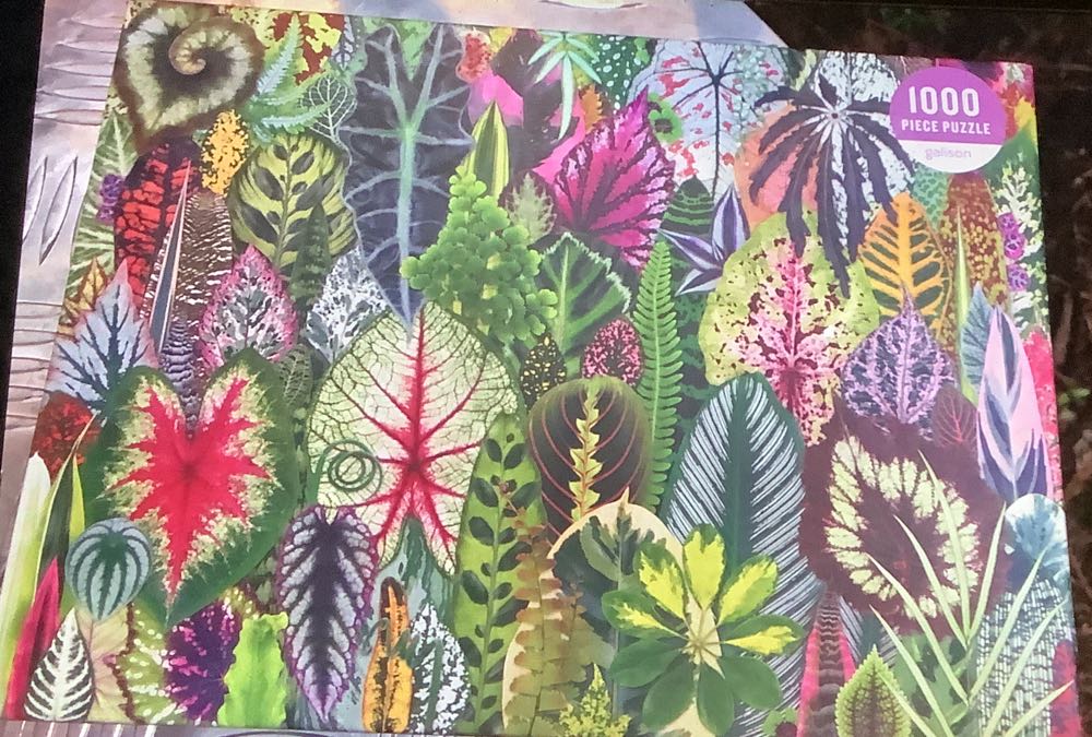 Beauty And The Dragon