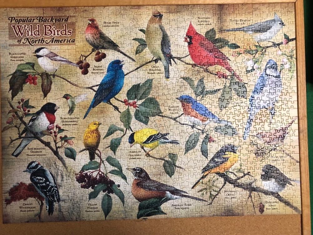 Popular Backyard Wild Birds Cobble - Cobble Hill puzzle collectible - Main Image 2