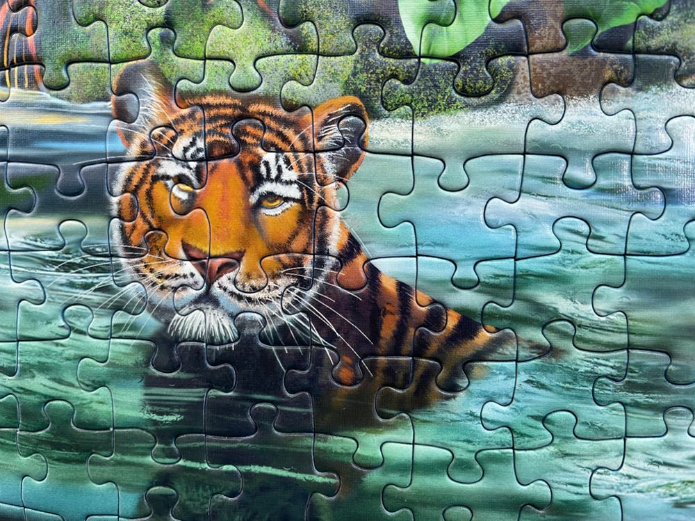 Tiger Falls - Ravensburger puzzle collectible [Barcode 4005556141050] - Main Image 3