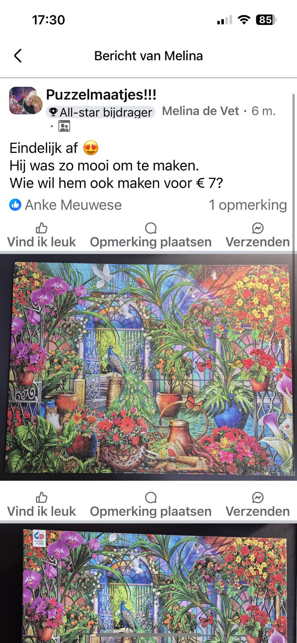 Tropical Greenhouse - Ceaco puzzle collectible [Barcode 021081340311] - Main Image 4