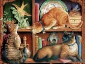 Animalia - The Letter C - Cats