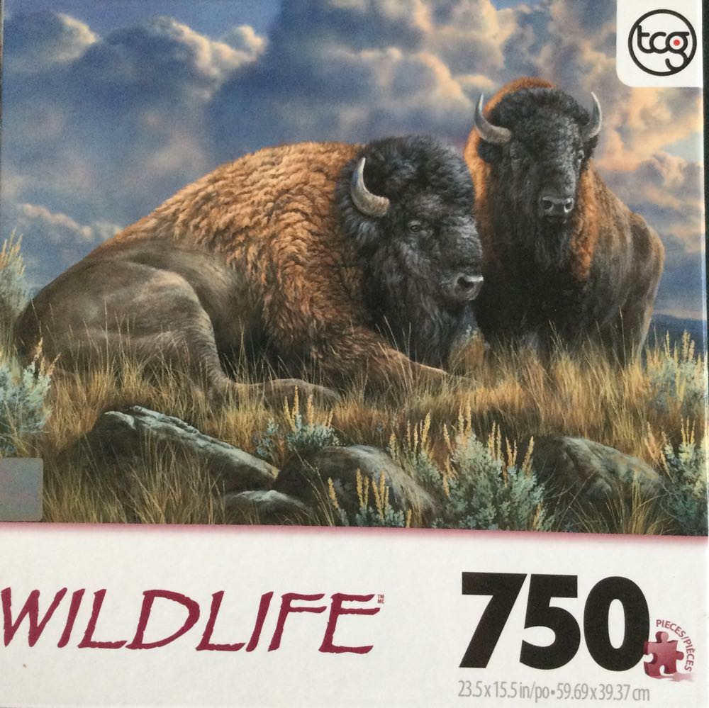 Vintage Kelloggs : Frosted Flakes