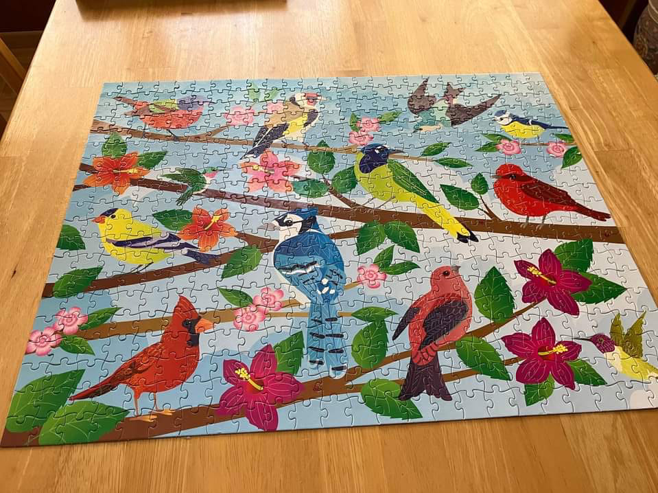 Feathered Friends - Page Publications puzzle collectible [Barcode 9781951086909] - Main Image 3