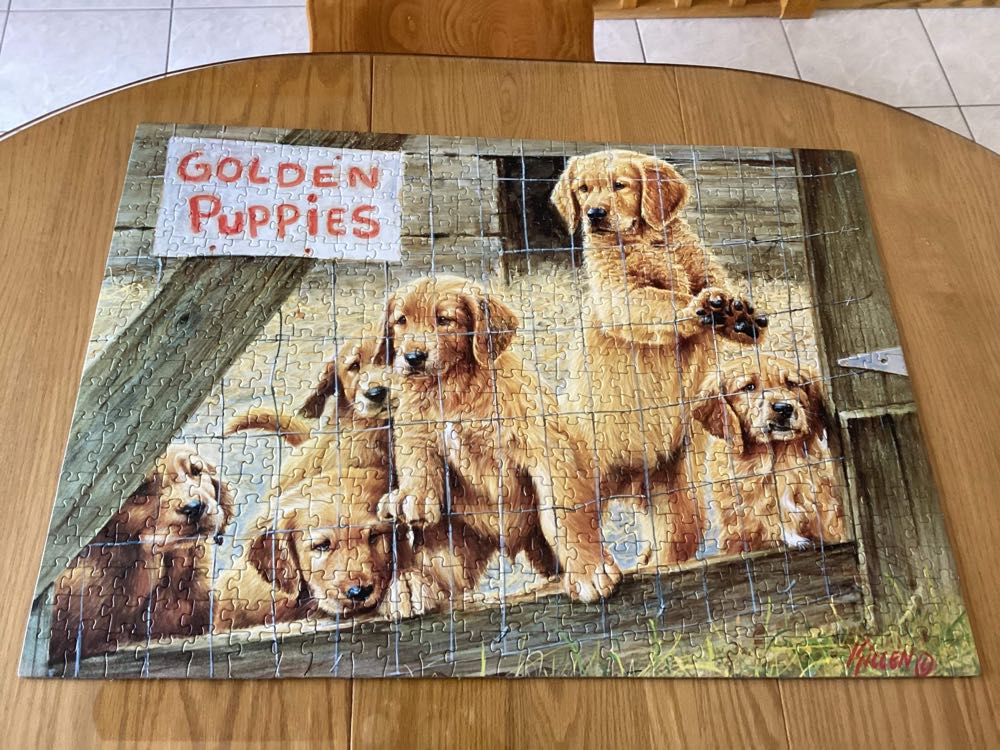 Golden Puppies - Cobble Hill puzzle collectible [Barcode 625012850193] - Main Image 3