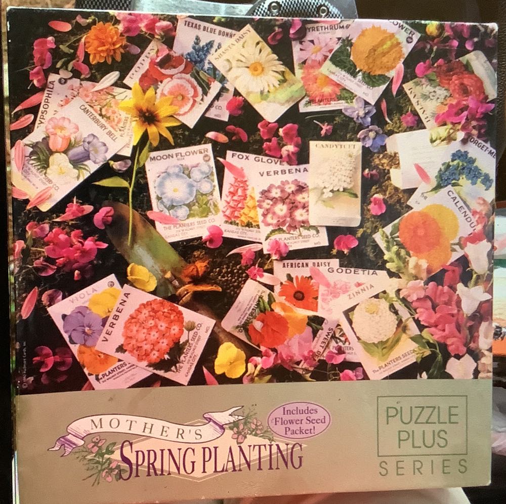 Romantic Paris France