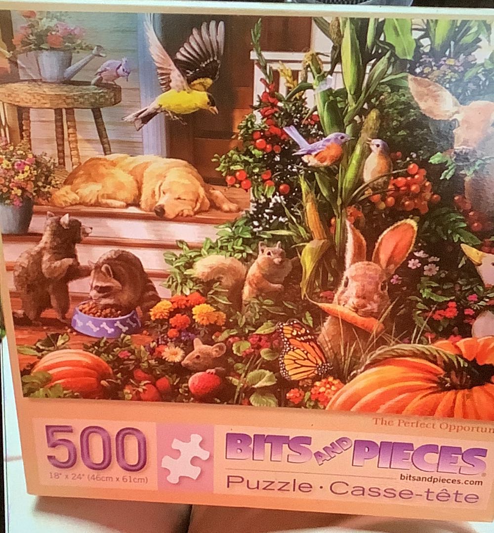 The Perfect Opportunity - Bits & Pieces puzzle collectible [Barcode 192949030771] - Main Image 1