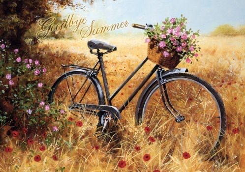 Goodbye Sommer - Trefl puzzle collectible - Main Image 2