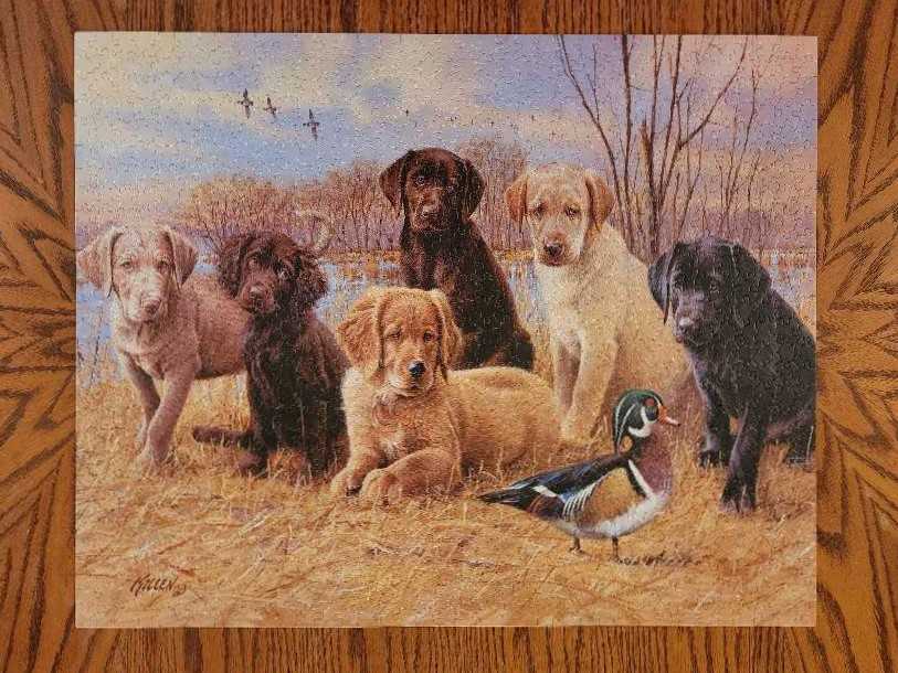 Marsh Madness - White Mountain Puzzles puzzle collectible [Barcode 724819248759] - Main Image 2