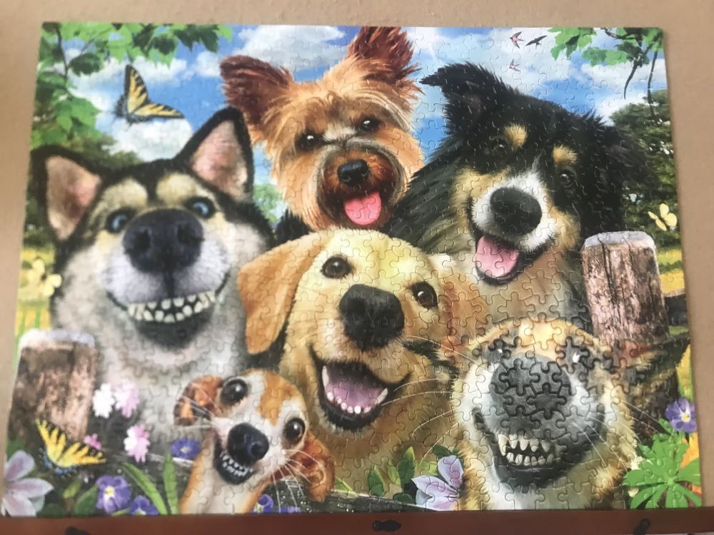 Selfies - Ceaco puzzle collectible [Barcode 021081231947] - Main Image 2