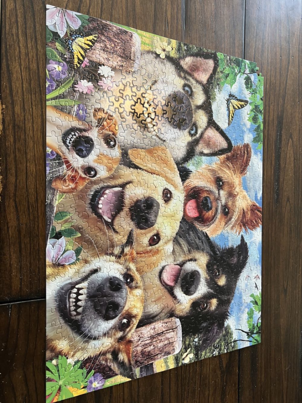 Selfies - Ceaco puzzle collectible [Barcode 021081231947] - Main Image 4