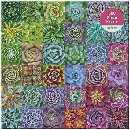 Ottawa Winterlude Festival