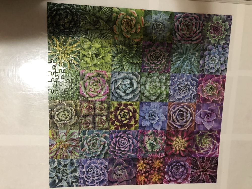 Succulent Spectrum - Gailson puzzle collectible - Main Image 2