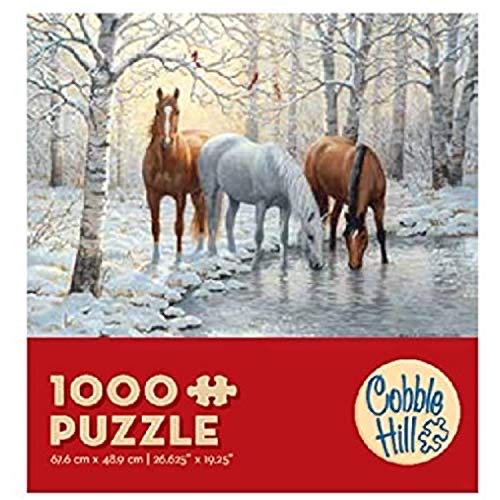 Campers  Coming Home