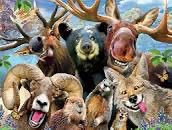 Roses, Grapes, & Vines