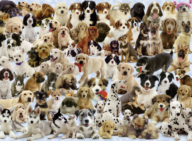 Green Street Gardens