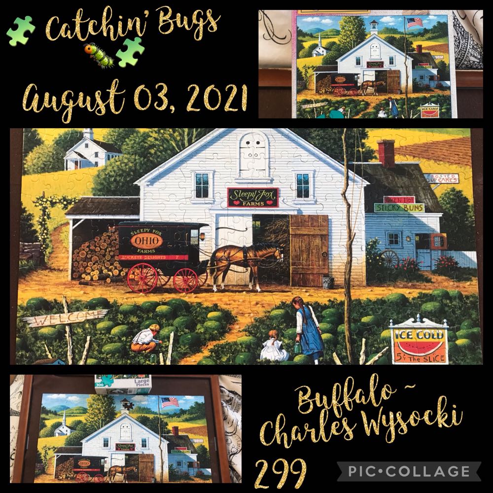Catchin’ Bugs - Buffalo 🦬 🇺🇸 puzzle collectible [Barcode 079346026036] - Main Image 4