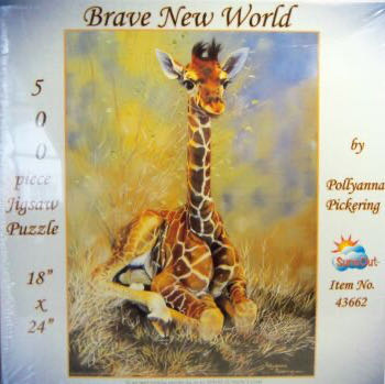 Mickey & Minnie Gallery