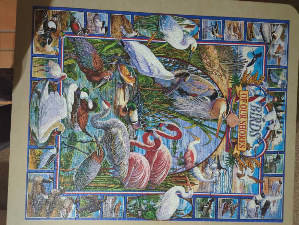 Birds of Our Shores - White Mountain puzzle collectible [Barcode 724819248322] - Main Image 2