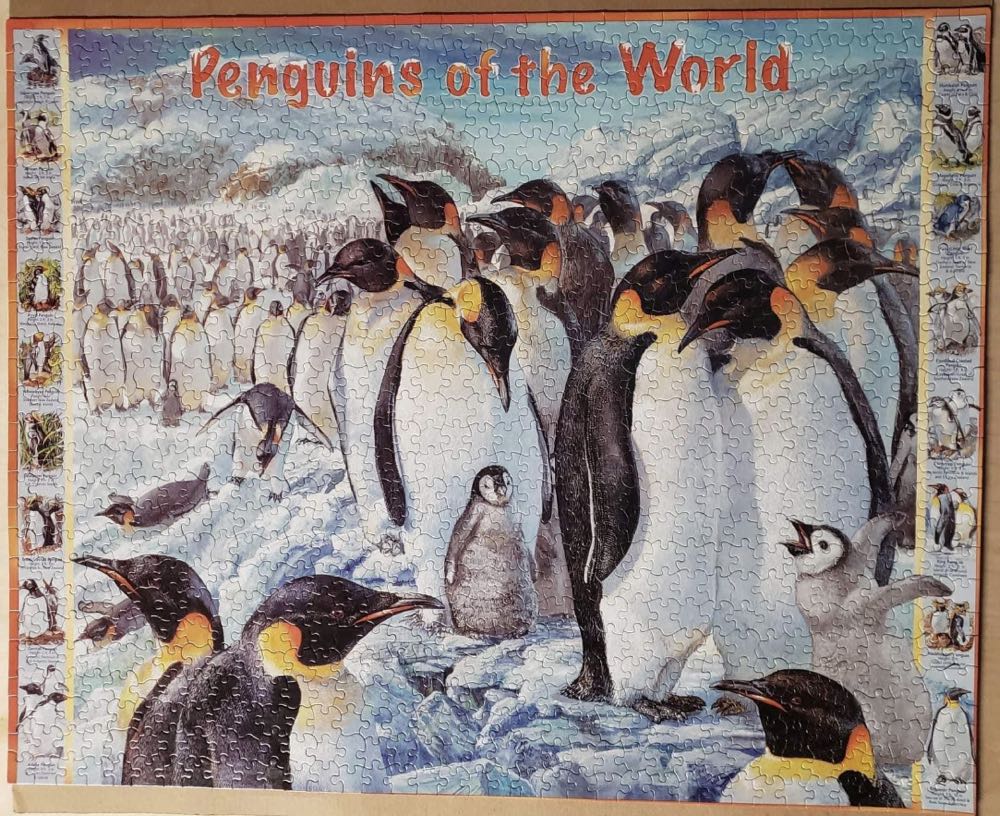 Penguins of the World -2 New - White Mountain Puzzles puzzle collectible [Barcode 724819249633] - Main Image 2