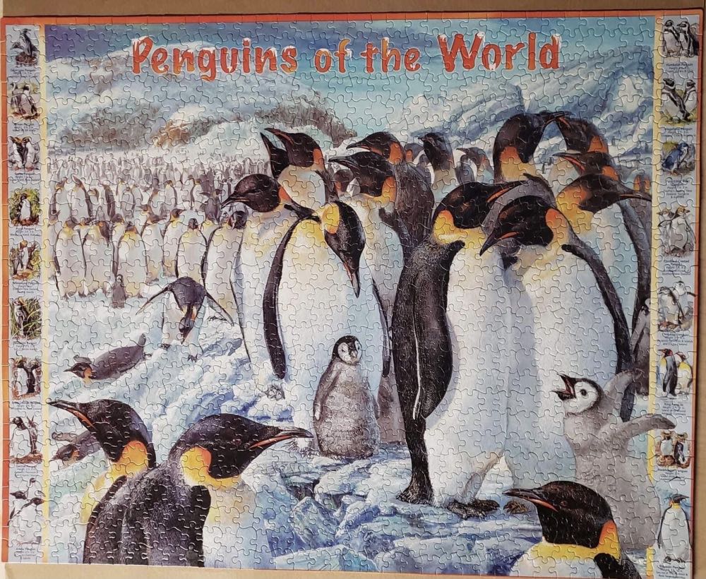 Penguins of the World -2 New - White Mountain Puzzles puzzle collectible [Barcode 724819249633] - Main Image 3