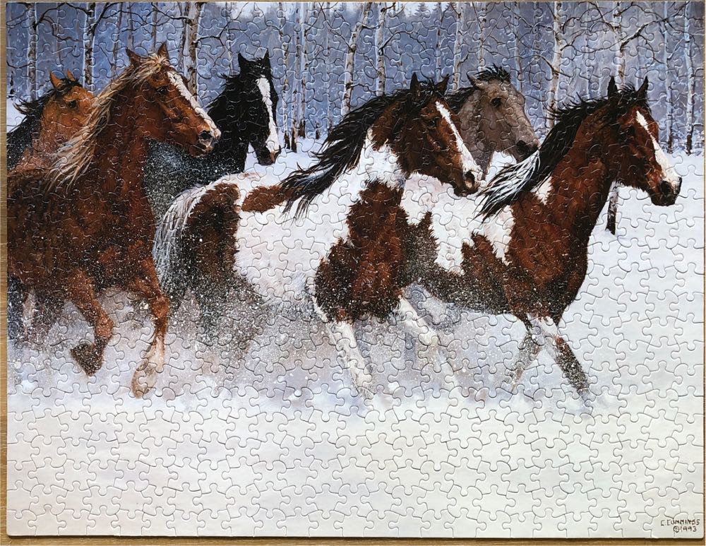 Wild Beauty .550pc. Retired . Missing 1 Pc. - White Mountain Puzzles puzzle collectible [Barcode 724819249909] - Main Image 2