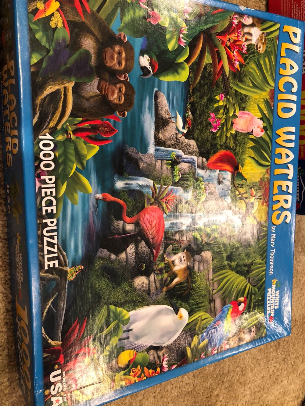 Placid Waters - White Mountain Puzzles, Inc. puzzle collectible [Barcode 724819252749] - Main Image 1