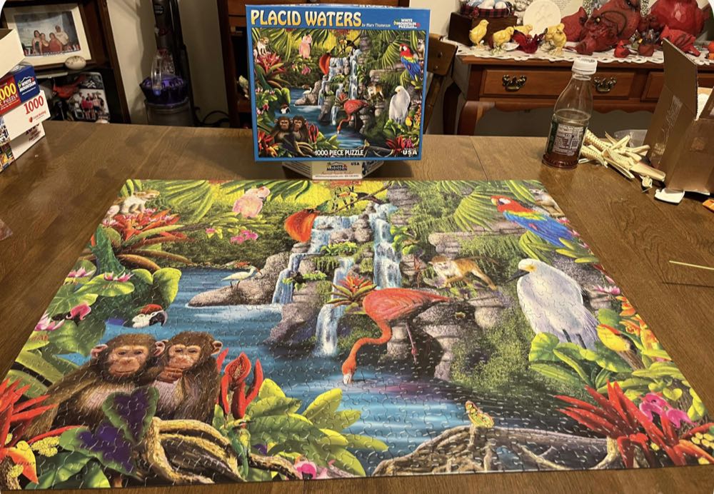 Placid Waters - White Mountain Puzzles, Inc. puzzle collectible [Barcode 724819252749] - Main Image 2