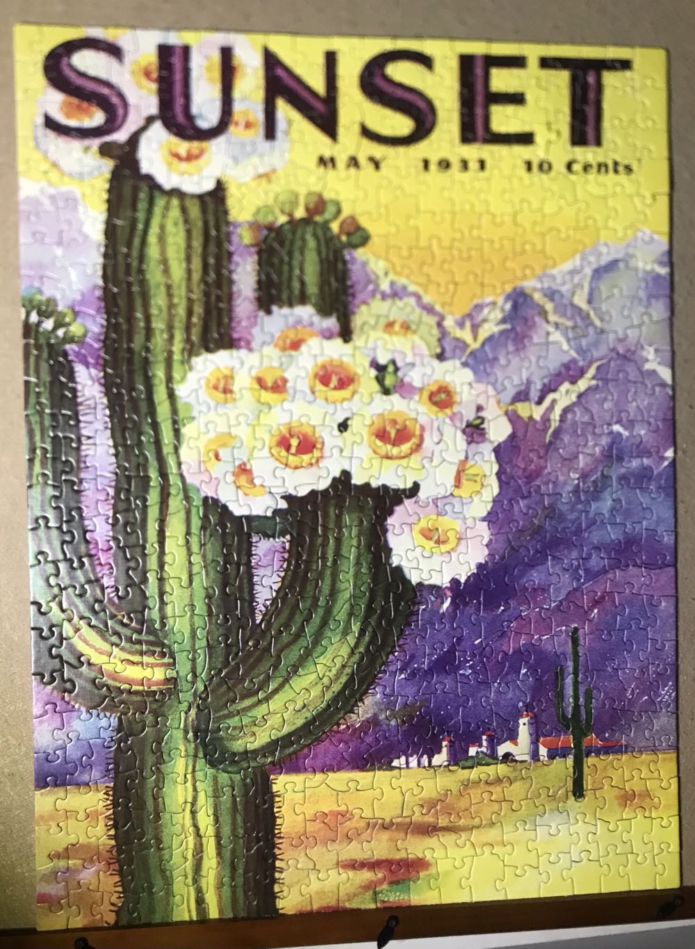 Cactus Blooms - New York Puzzle Company 🇺🇸 puzzle collectible [Barcode 819844017927] - Main Image 3