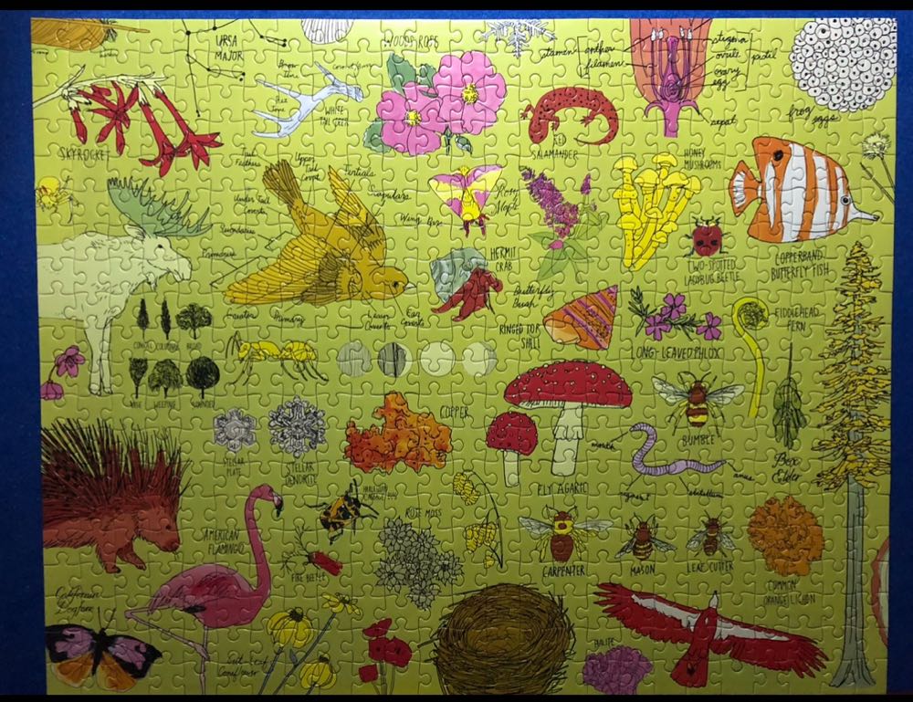 Nature Anatomy - Workman Publishing Inc. puzzle collectible [Barcode 9781635864014] - Main Image 2