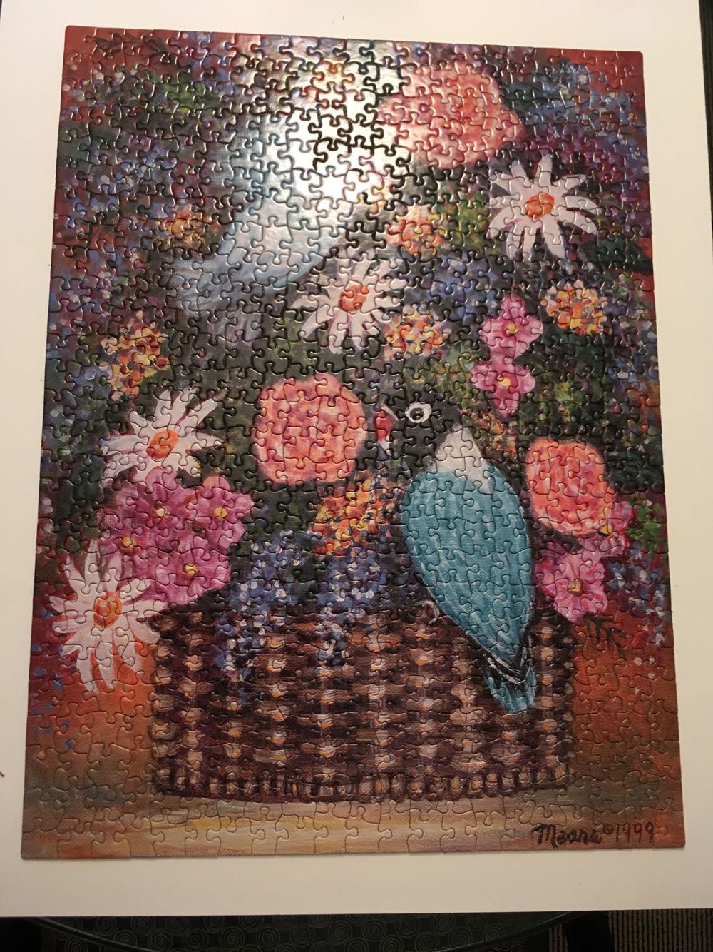 Sunsout: St. Francis